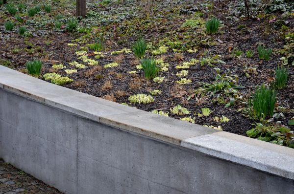Concrete Wall Construction in Midland