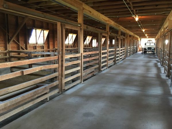 Barn Slab Construction in Midland
