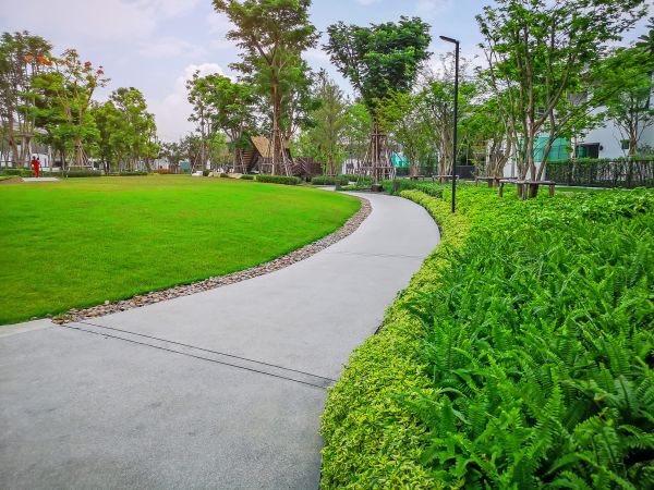 Cement Walkway Service in Midland