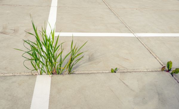 Concrete Parking Installation in Midland